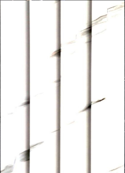 WPC Louvers 23MM