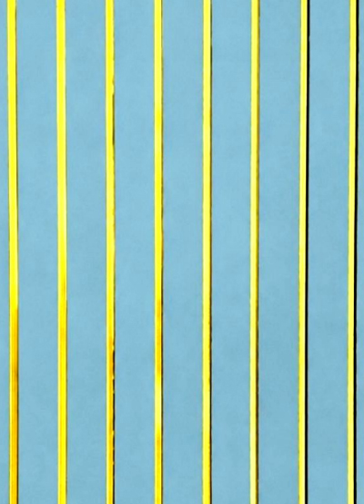Goldline Fluted - 304