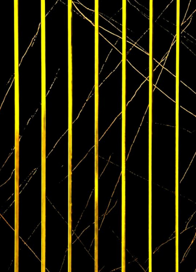 Goldline Fluted - 311